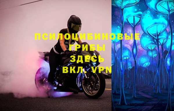 прущий лед Арсеньев