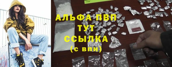 ПСИЛОЦИБИНОВЫЕ ГРИБЫ Алексин