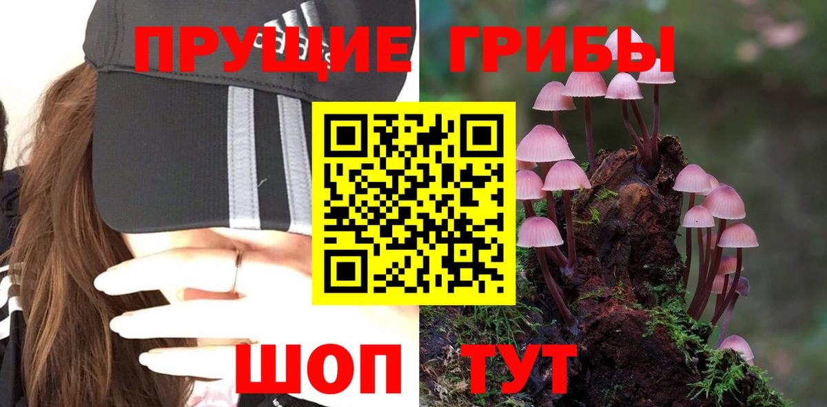 Новодвинск  Галлюциногенные грибы мухоморы  Вход с VPN 